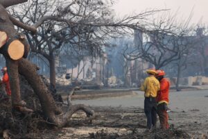 Sony faz doação para combate a incêndios em Los Angeles