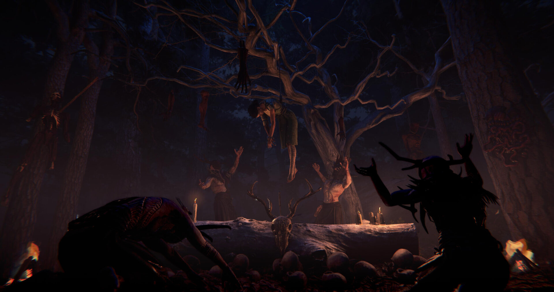 Teste Alpha aberto Nested Lands