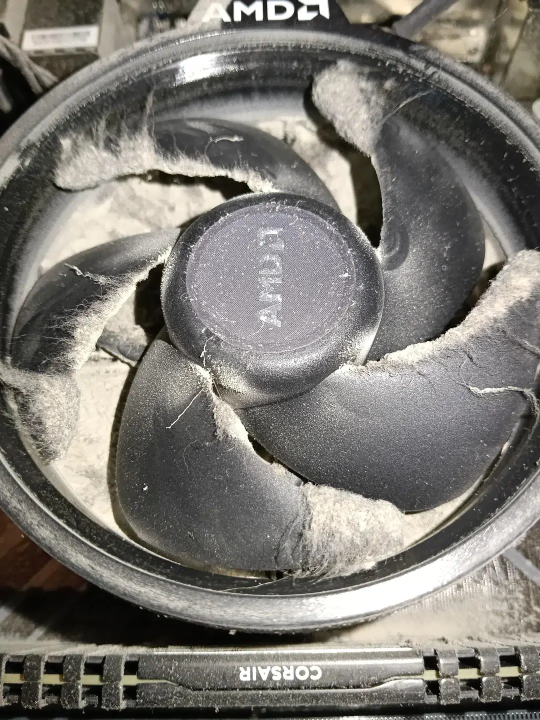 Imagens fortes: O estado 'deplorável' de um PC Gamer que nunca foi limpo 7 my brother claims to be tech savvy this is what the inside v0